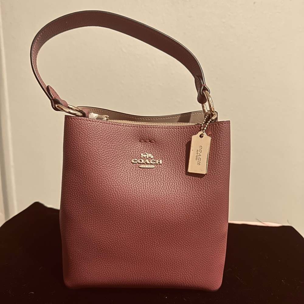 Coach Mollie Bucket Bag 22